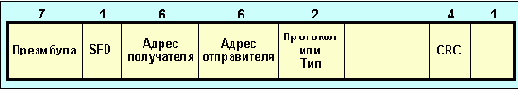    ethernet (         )