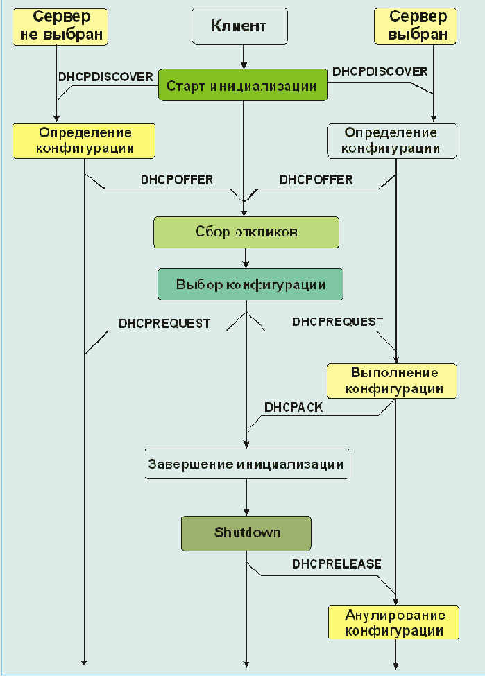  DHCP