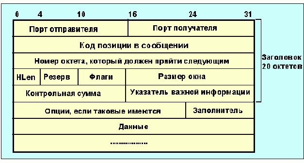  TCP-