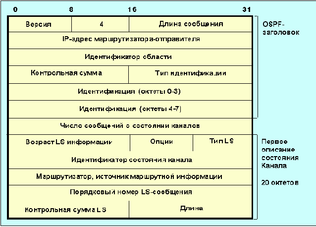  ospf-,   