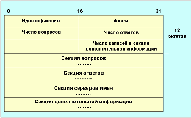  dns-