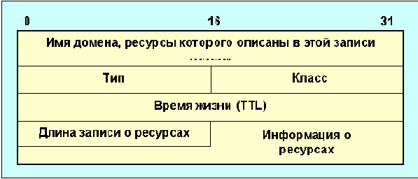     DNS