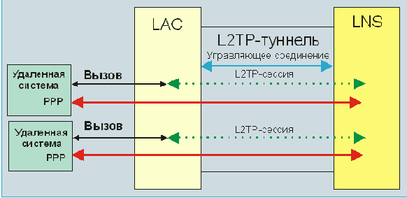     AVP ACCM