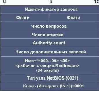     DNS